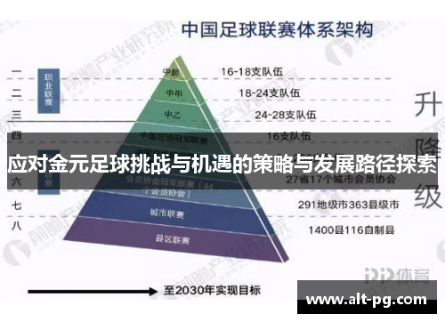 应对金元足球挑战与机遇的策略与发展路径探索