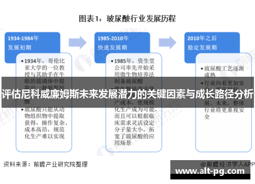 评估尼科威廉姆斯未来发展潜力的关键因素与成长路径分析