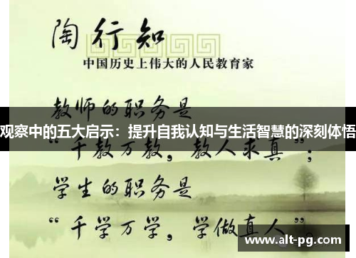 观察中的五大启示：提升自我认知与生活智慧的深刻体悟