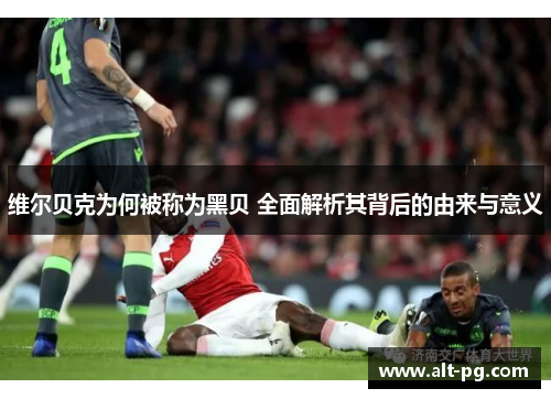 维尔贝克为何被称为黑贝 全面解析其背后的由来与意义