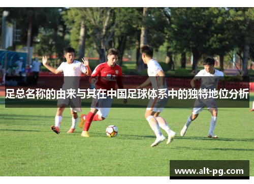 足总名称的由来与其在中国足球体系中的独特地位分析 足总名称的由来与其在中国足球体系中的独特地位分析